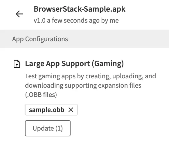 OBB filename displayed