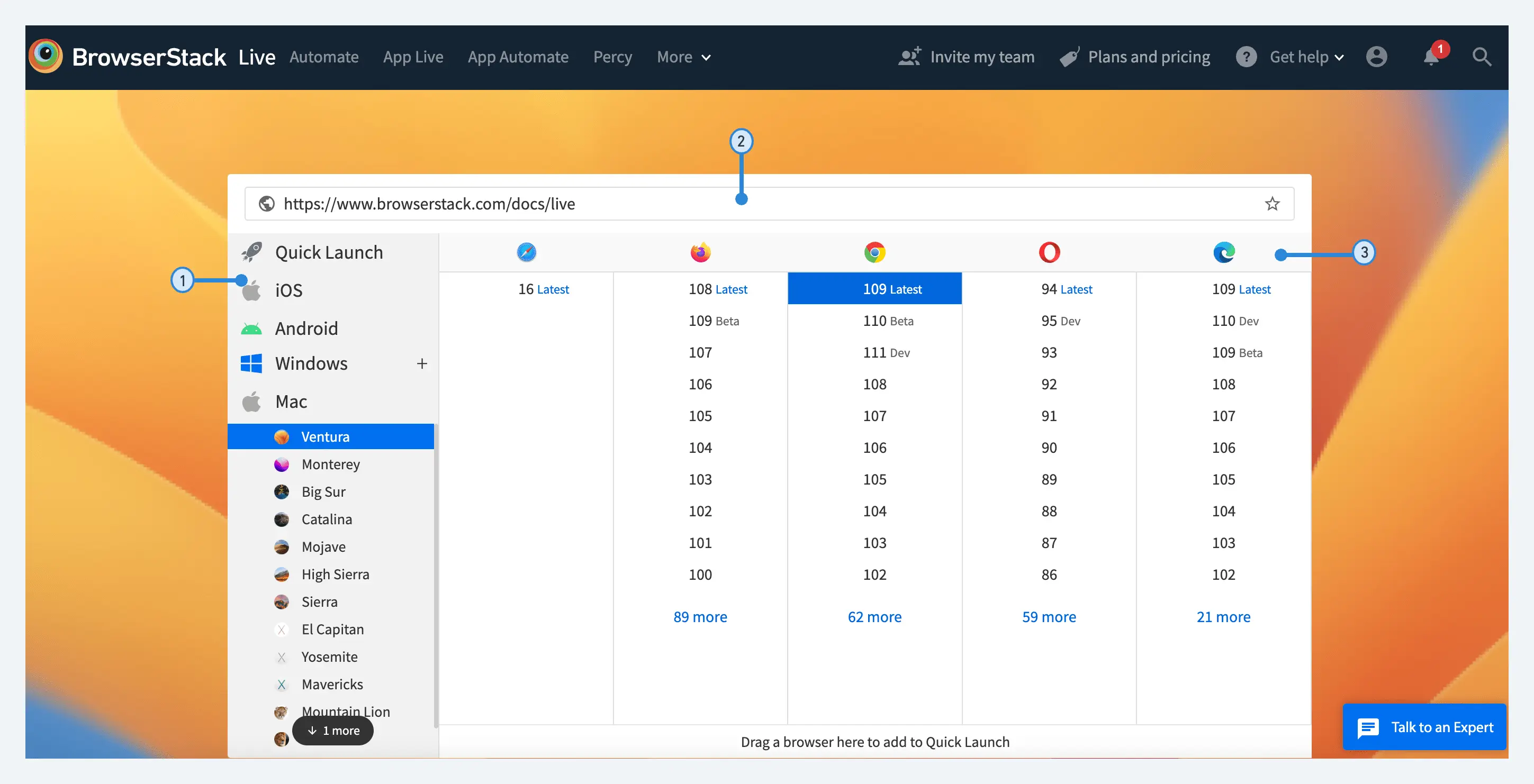 Live dashboard view for BrowserStack real desktops