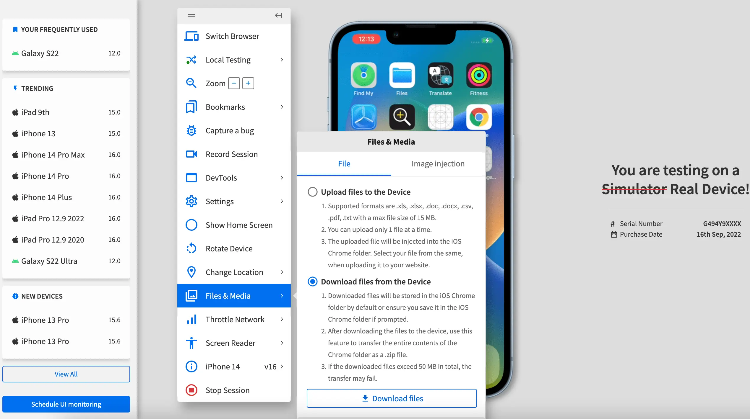 Click the Download files button