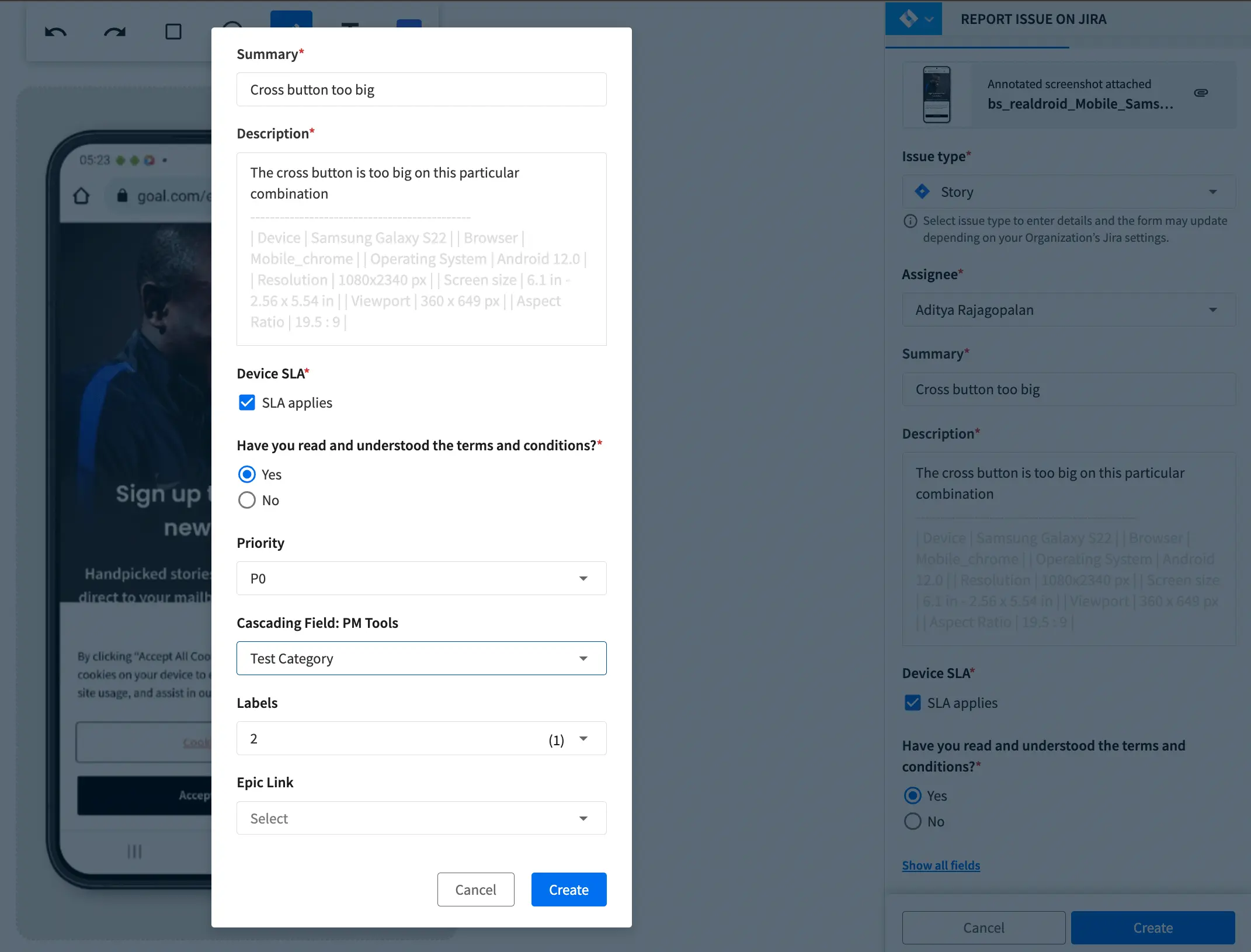 Fill in additional issue details