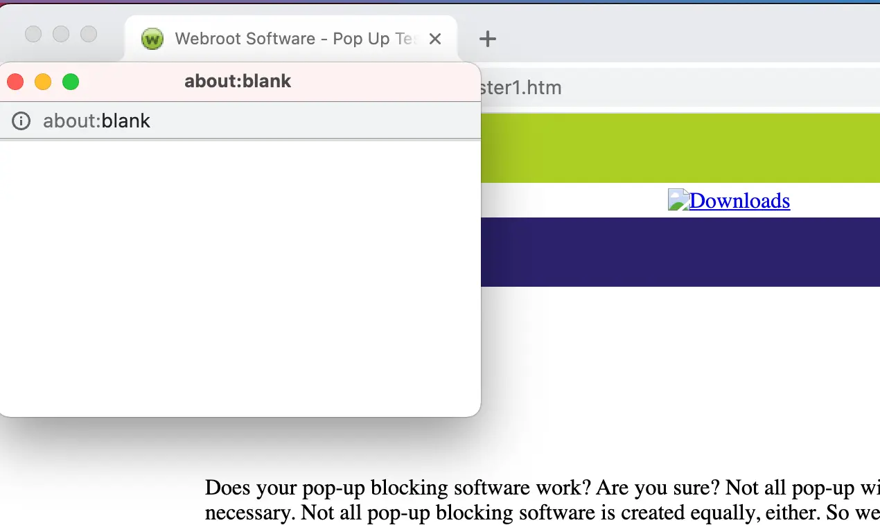Browser Location Access Popup