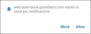 Web Push Notification Request